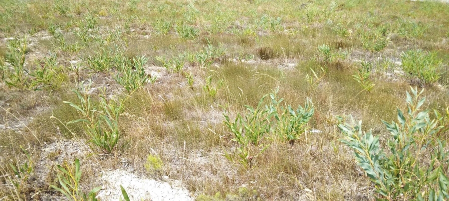 0 Bedroom Property for Sale in Fisherhaven Western Cape